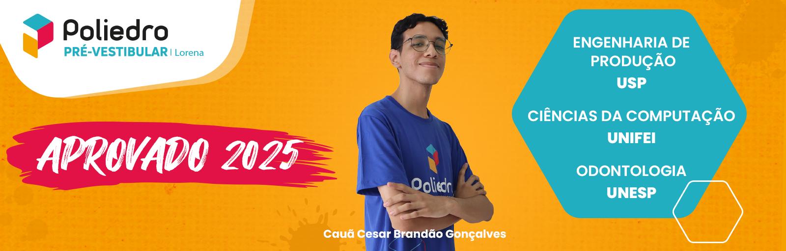 Aprovado 2025